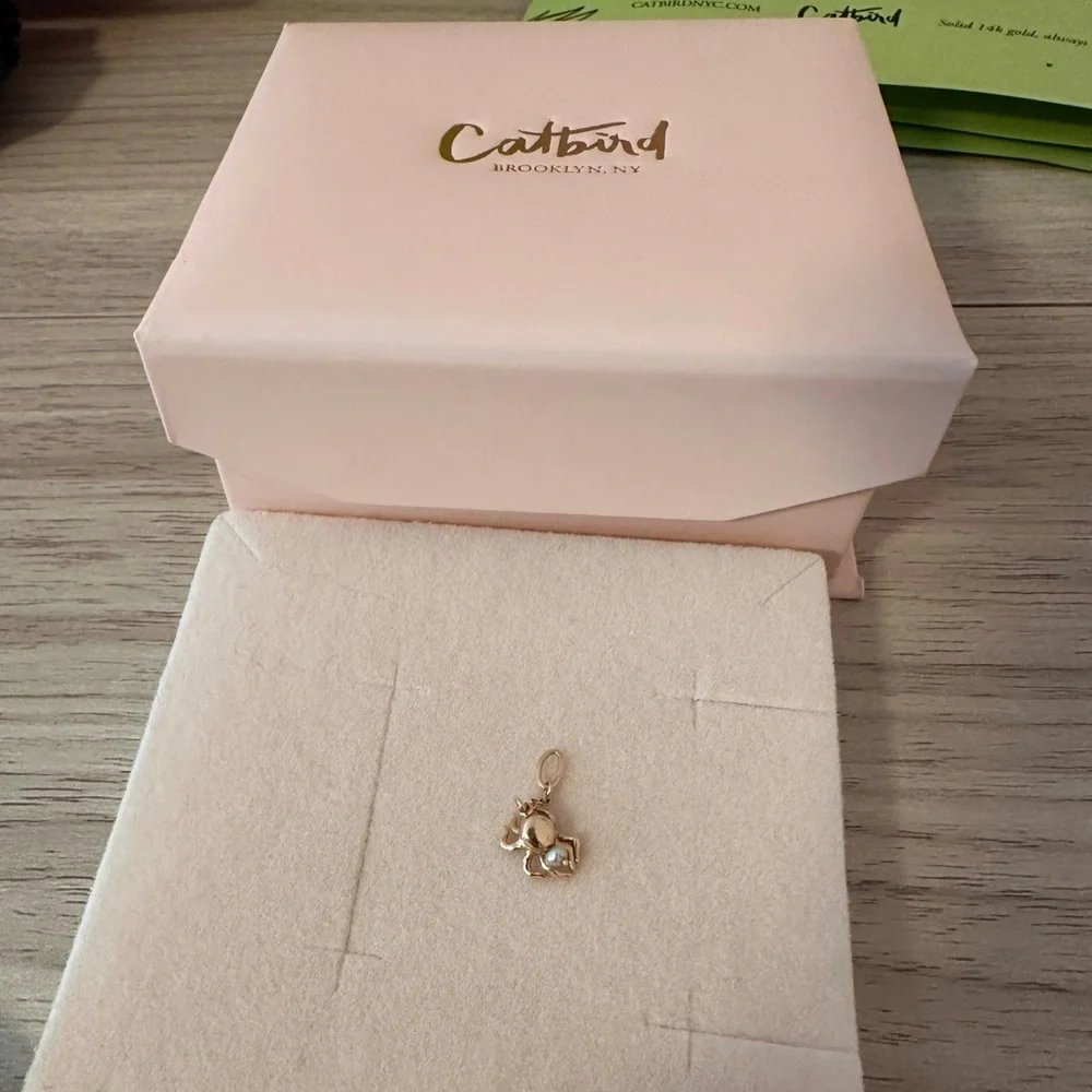 Catbird spider charm - Picture 1 of 4